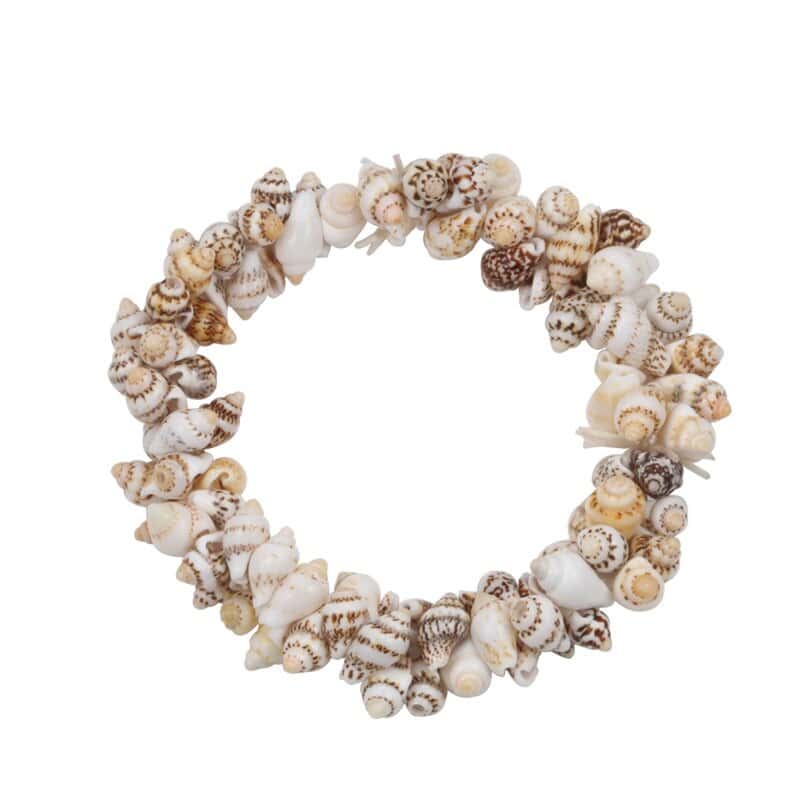 Snäckarmband Nassarius