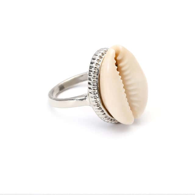Snäckring Silver Kaurisnäcka